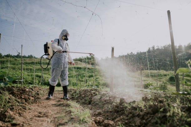 Best Local Pest Control Services  in Alliance, NE