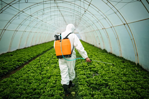 Best Residential Pest Control  in Alliance, NE