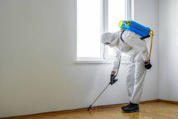 Best Pest Removal Services  in Alliance, NE