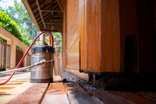 Best Affordable Pest Control Services  in Alliance, NE