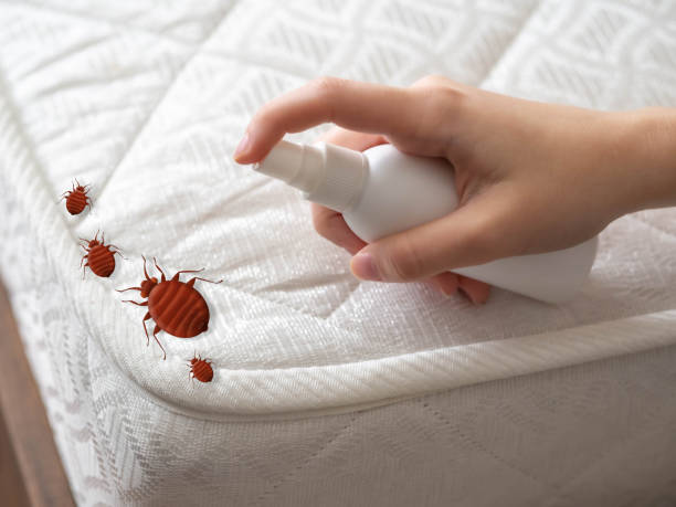 Best Bed Bug Extermination  in Alliance, NE