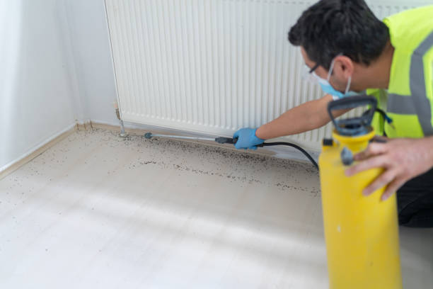 Best Commercial Pest Control Services  in Alliance, NE