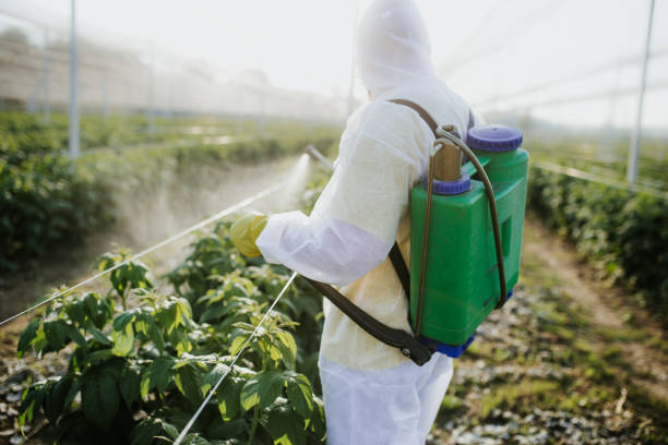 Best Pest Control Near Me  in Alliance, NE